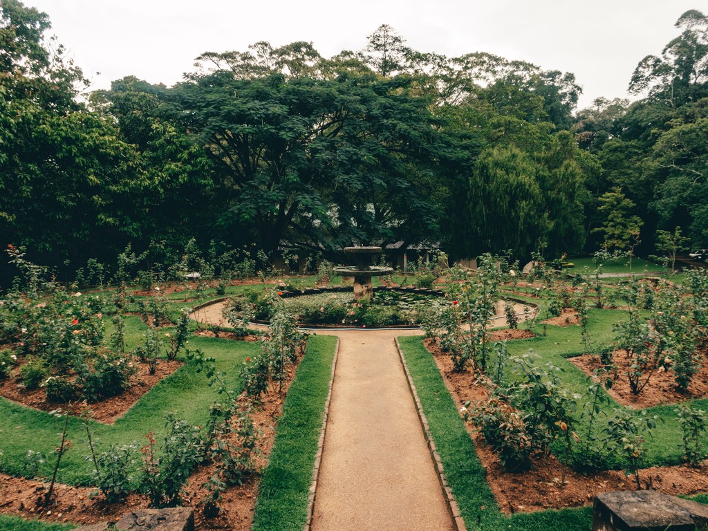 KANDY TRAVEL GUIDE 8 Brilliant Places To Visit In Kandy, Sri Lanka